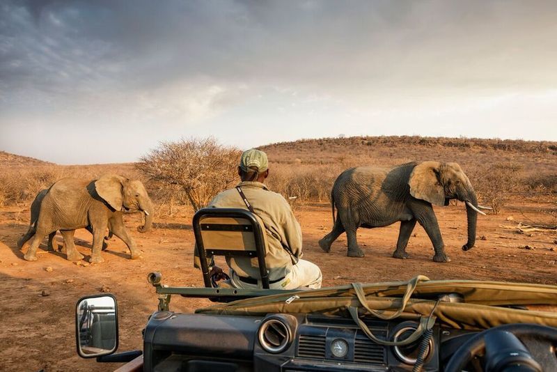 Impodimo Game Lodge Madikwe Game Reserve Bagian luar foto