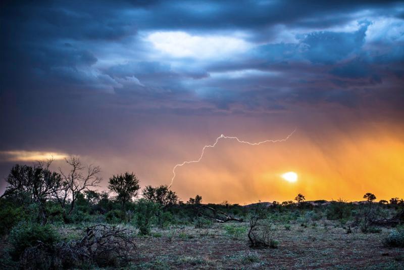 Impodimo Game Lodge Madikwe Game Reserve Bagian luar foto